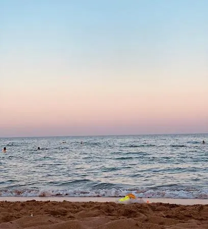 Ceasar Cyprus - Leona