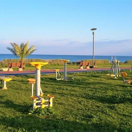 Ceasar Cyprus - Leona