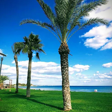 Ceasar Cyprus - Leona *