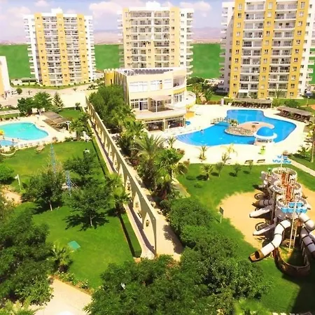 Ceasar Cyprus - Leona *