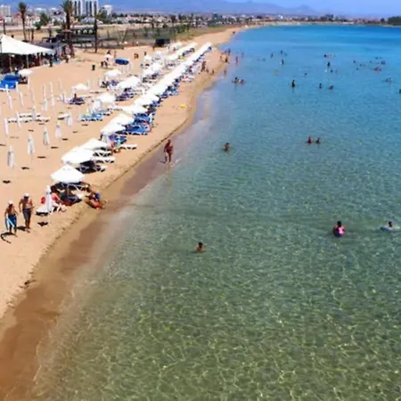 Ceasar Cyprus - Leona *